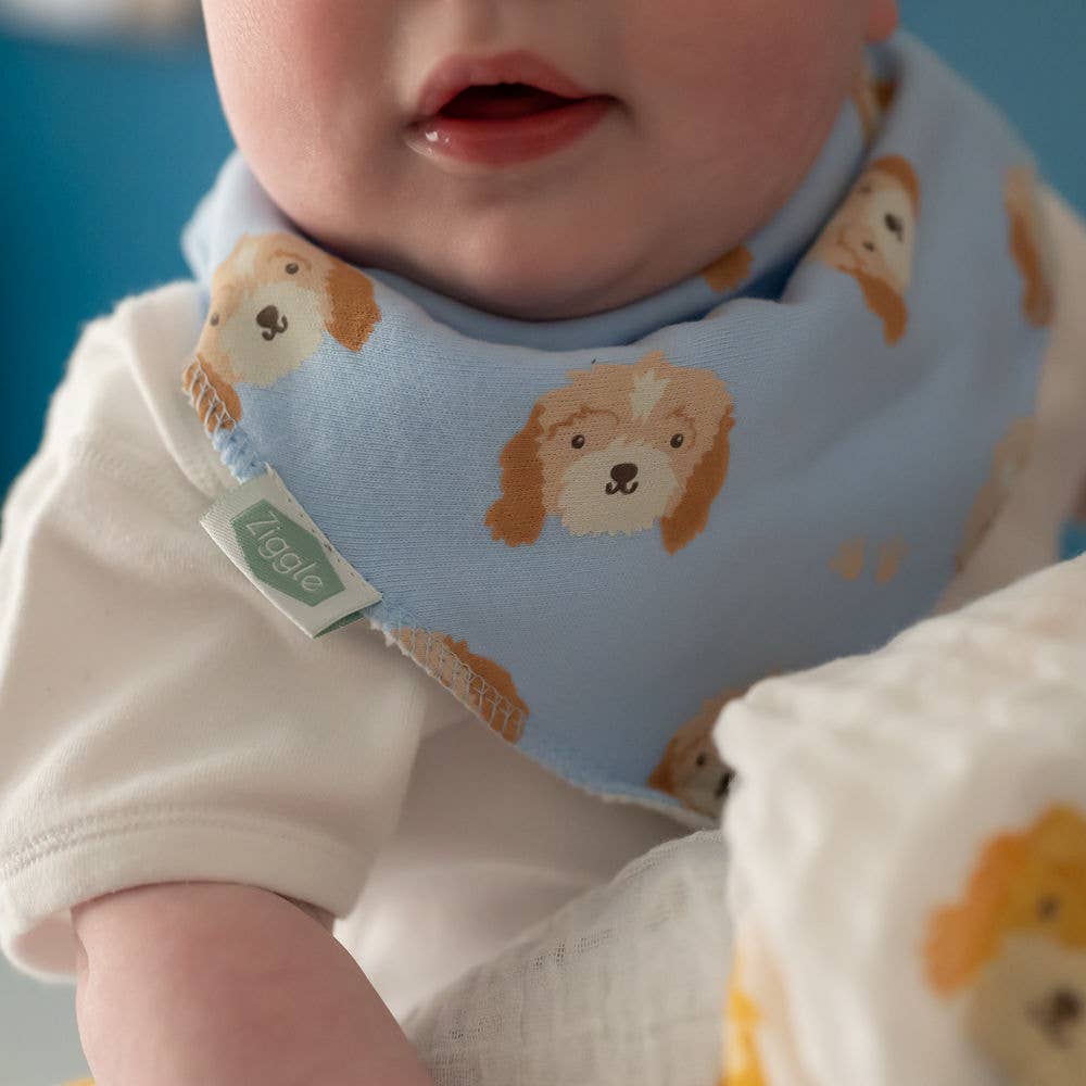 Cockapoo Puppy Baby Blue Bandana Bib for Babies and Toddlers