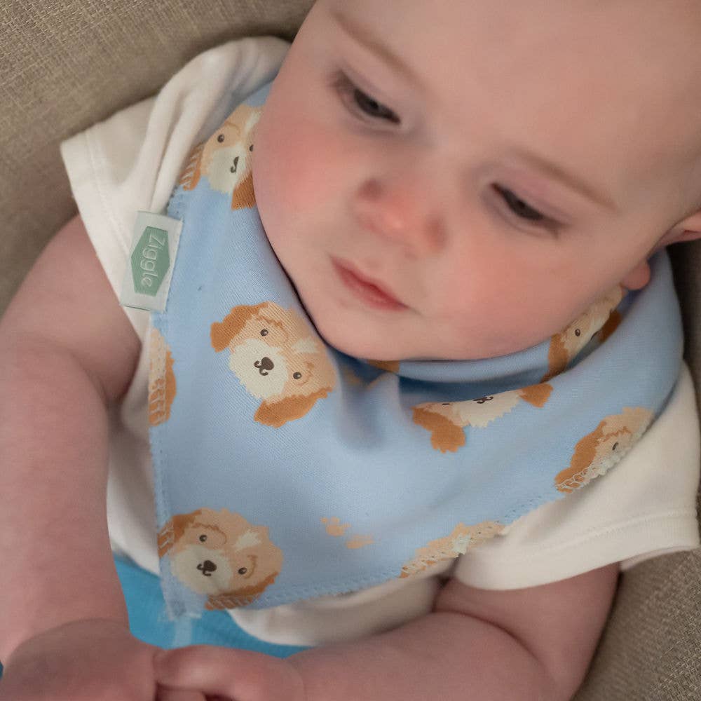 Cockapoo Puppy Baby Blue Bandana Bib for Babies and Toddlers