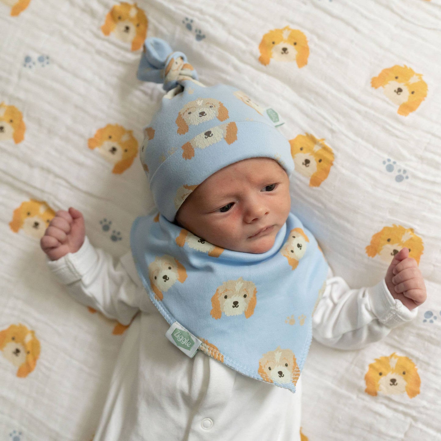 Cockapoo Puppy Baby Blue Bandana Bib for Babies and Toddlers