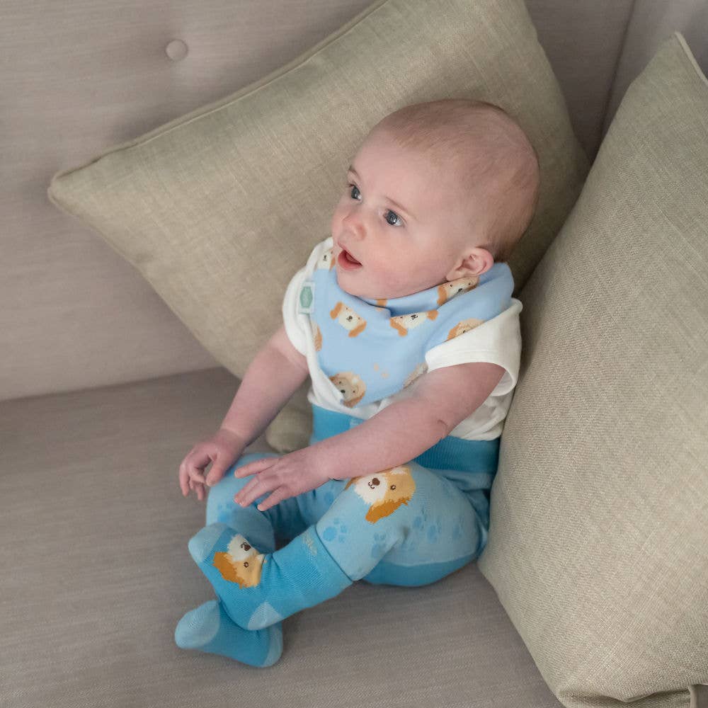 Cockapoo Puppy Baby Blue Bandana Bib for Babies and Toddlers